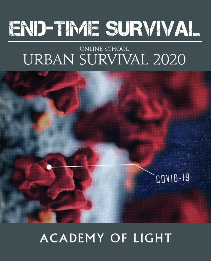 Urban Survival 2020